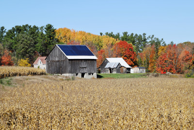 A farm on Early Rd.